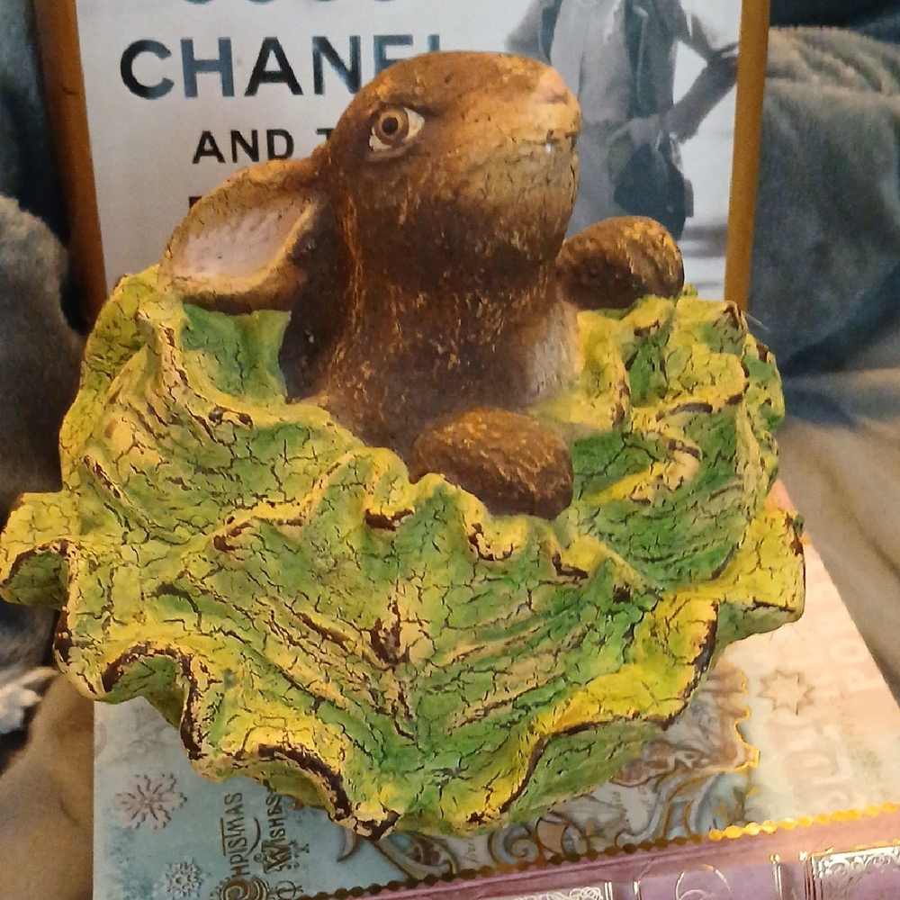 Brown Bunny In Green Lettuce